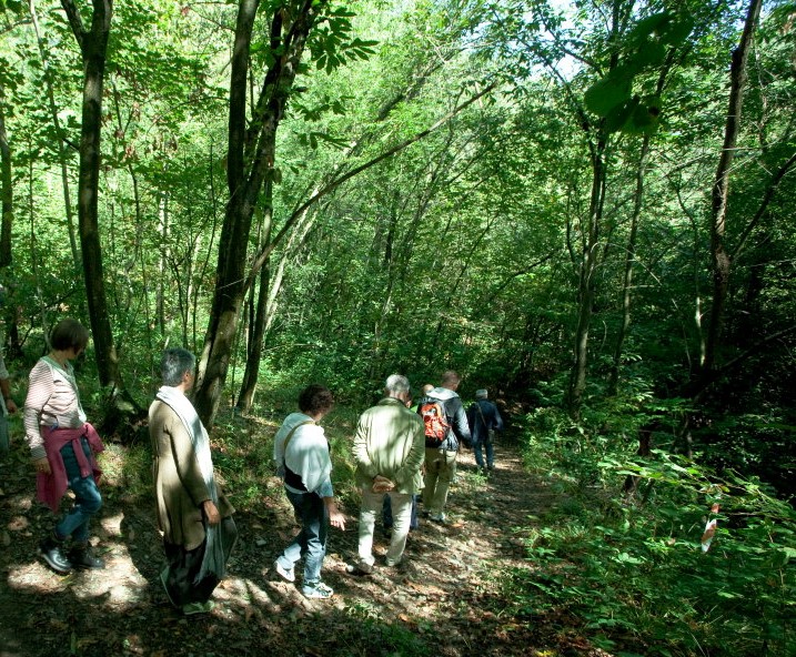 CAMMINANTI DEL SILENZIO